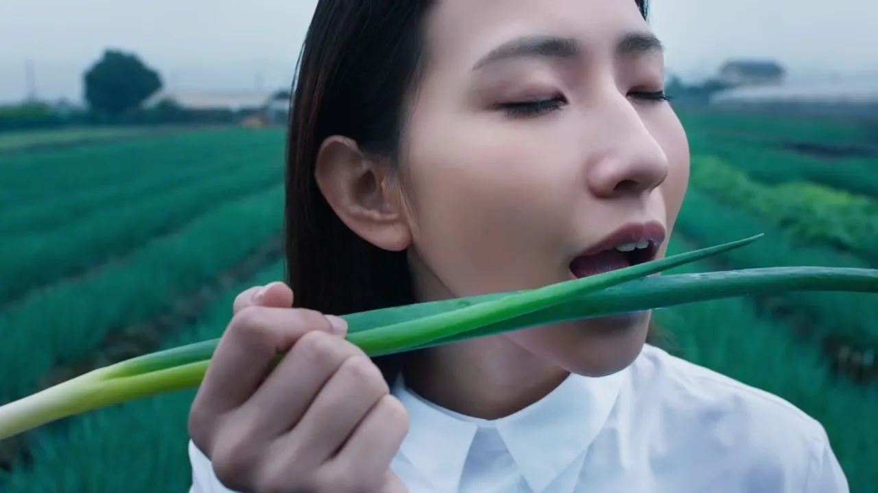  width={video ? 720 : 480} widths={video ? [480, 720, 1080] : [240, 360, 480, 720]} sizes={sizes} loading={eager ? 'eager' : 'lazy'} fetchpriority={priority ? 'high' : undefined} decoding=