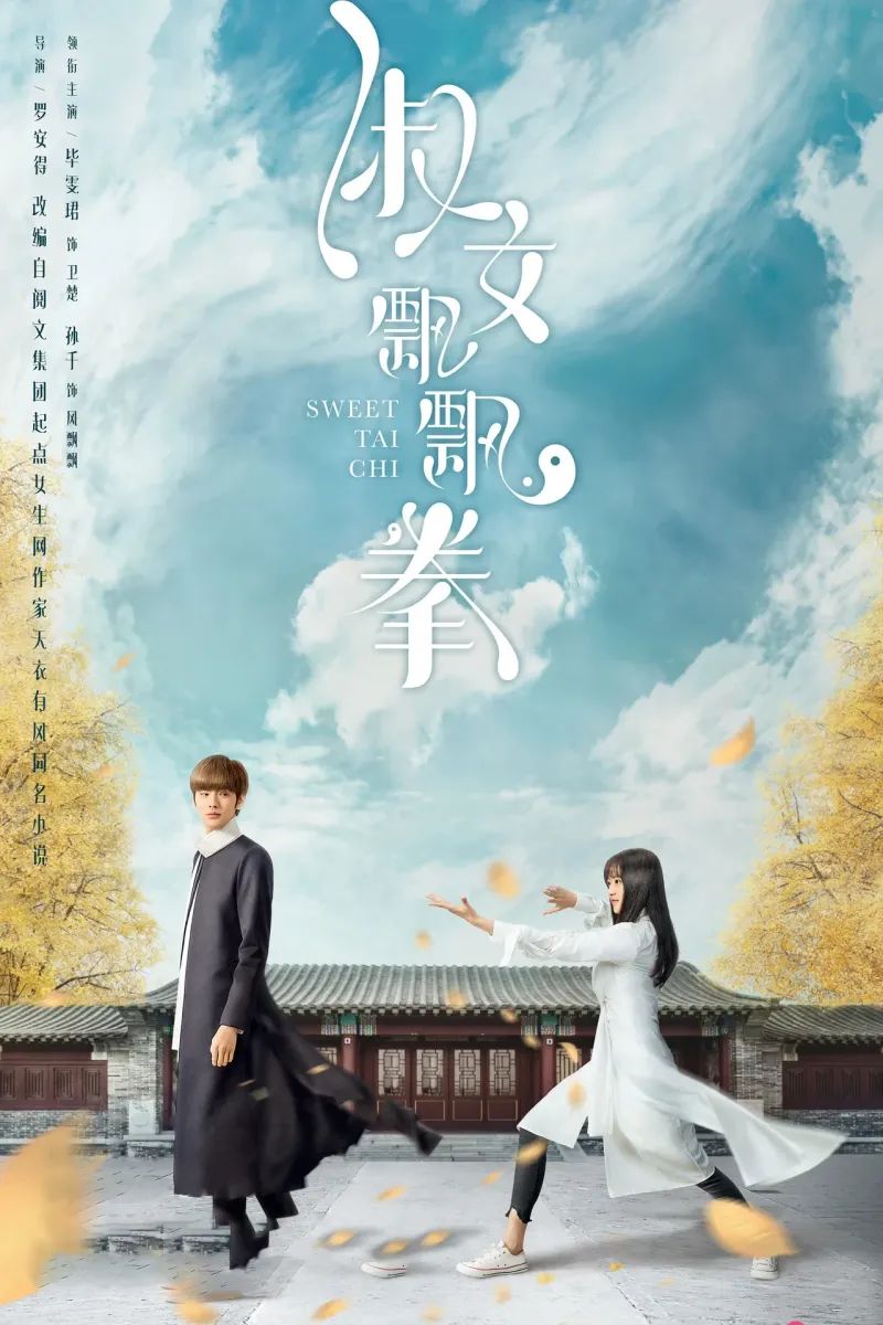 淑女飄飄拳 海報